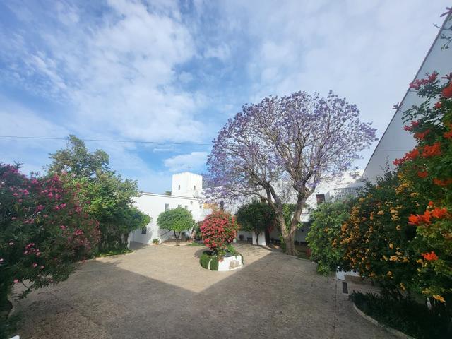 Cortijo de Guerra - 1