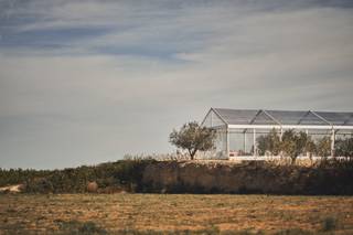 Carpas Terra - 5