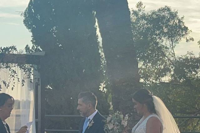 Beatriz González - Maestra de ceremonias 1
