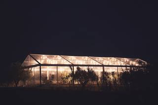 Carpas Terra - 6