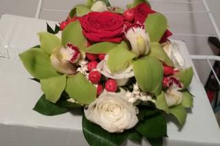 Flores Lucrecia - 10