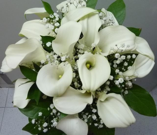 Zahara Floristas - 4