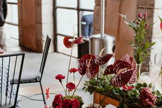 Querida Flowers - 6
