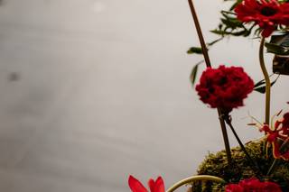 Querida Flowers - 7