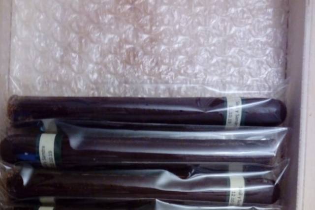 QuieroChocolate 5