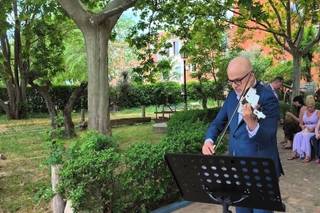 Fiumara Violín - 5
