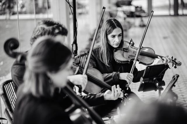 Cuarteto Arpeggio 2