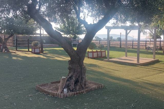 Los Quintos 1