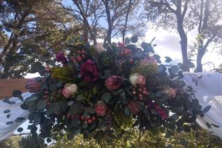 Floristería Lucía Firgas - 31
