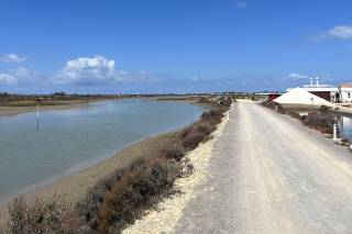 Salina Santa Teresa - 6