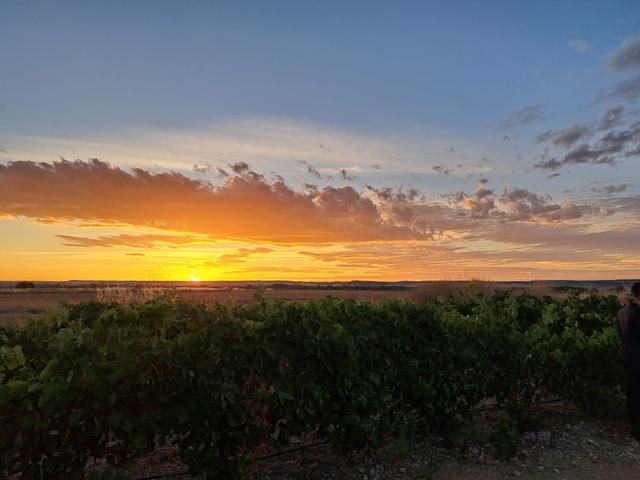 Concejo Hospedería y Bodegas - 3