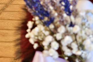 Flors i Plantes Silvia - 8