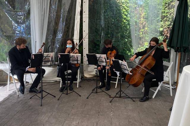 Cuarteto Arpeggio 5