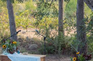 Projectes Florals - Dolors Solé - 19