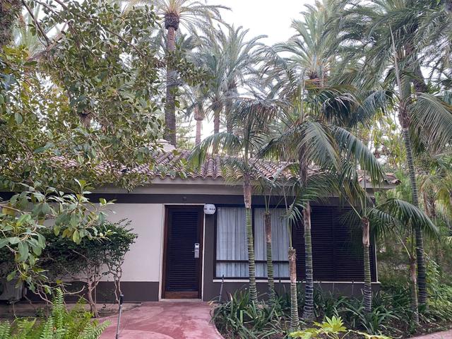 Hotel Huerto del Cura - 4