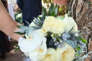 Floristeriamalayerba - 8