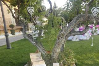 Baul de Roose - 23