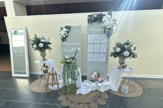 El Jardí de les Palmeres - 9