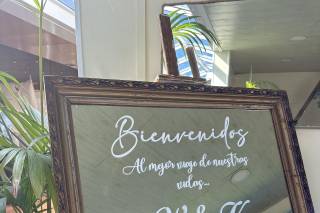 El Jardí de les Palmeres - 10