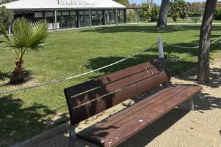 El Jardí de les Palmeres - 11