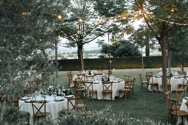 Decorled - 4