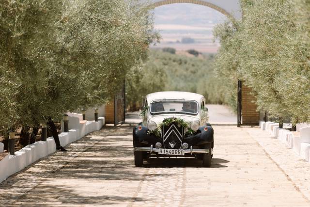 Hacienda La Capilla 5