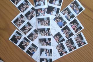 Canary Photo - 6