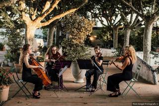 Elysian Quartet - 1