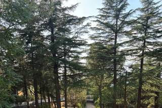 Ceremony Planner - 6