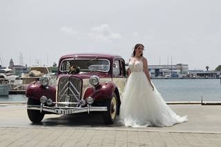 Sedka Novias Market - 5