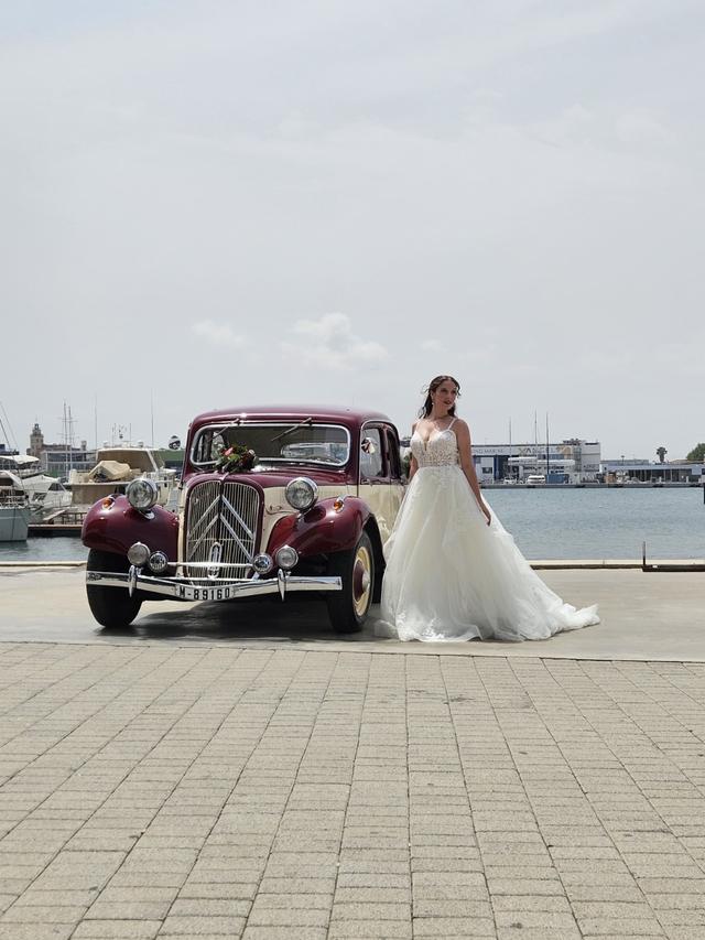 Sedka Novias Market - 2