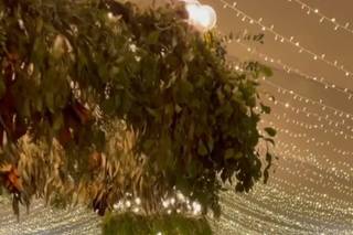 Floristería Margarita - 18