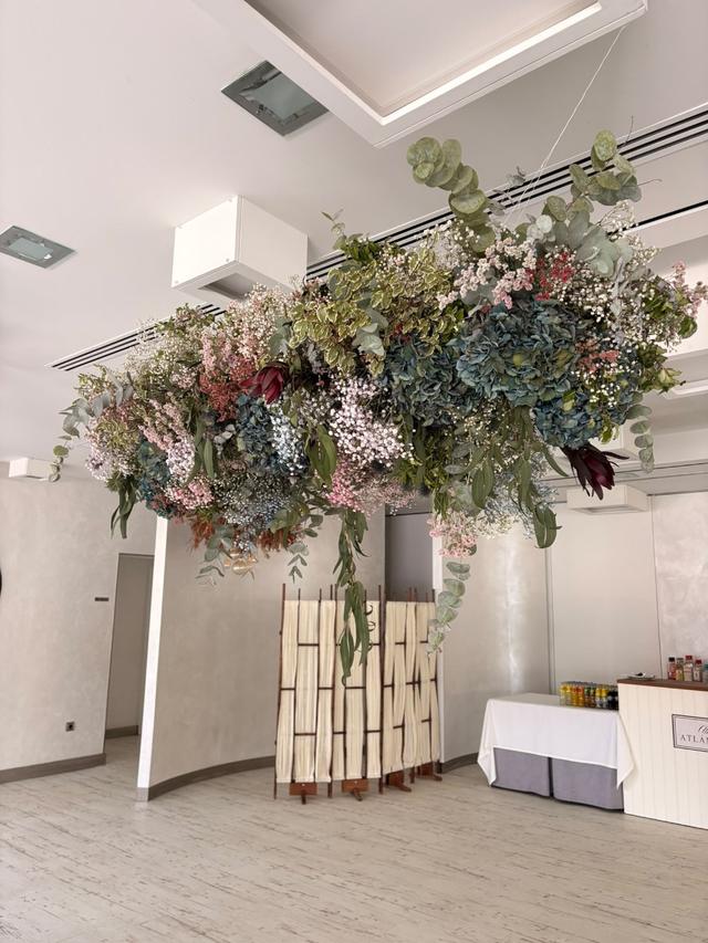 Hortensias de Galicia - 3