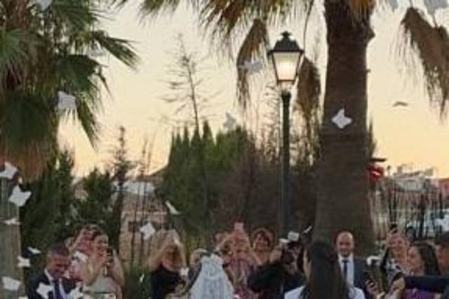 Salones Atalaya 2