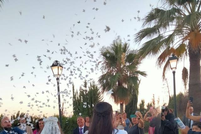 Salones Atalaya 5