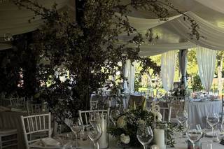 Flors i Plantes Silvia - 12