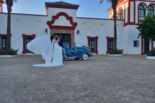 Hacienda Timoteo - 6