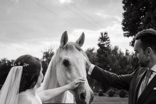 Silver Bull Productions - 6