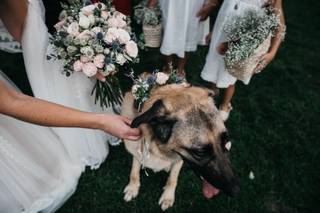 Susana Sanchez - Arreglos Florales - 11