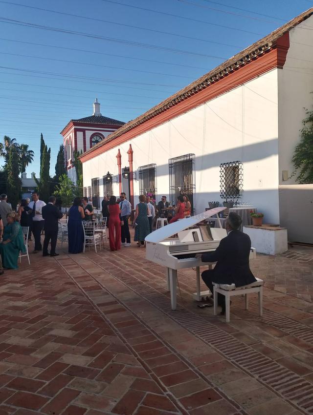 Feelmusic Event - Pianista - 2