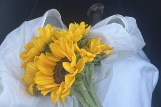 A flor de piel - 5
