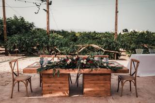 Floristería La Tardor - 16