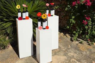 Palma Eventos - 9