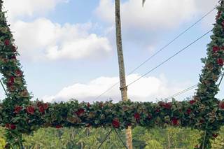 Mundo la Tienda de Viajes - 11