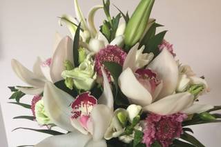 Monceau Fleurs - 11