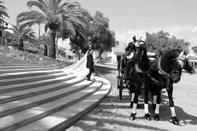 Bodas a caballo Villablanca 5