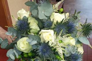 Flores Núñez - 7