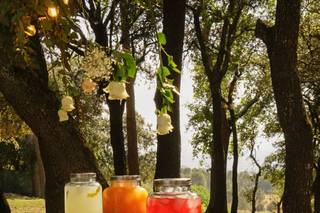 Ospi Catering - 22
