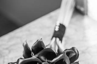 MS-Fotografia - 6