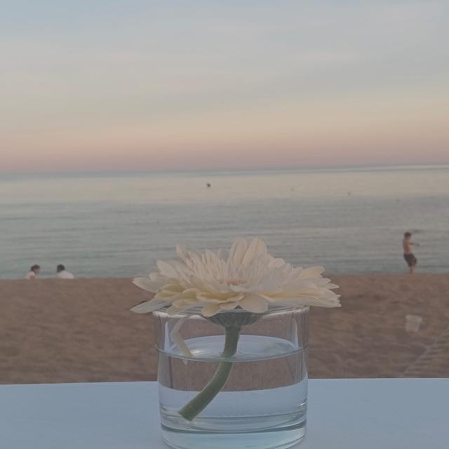 Bahari Club - 1